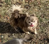 processed/0377c3ce-648a-4327-8fe8-5a9f81d219ff/facility/df5900e7-3828-49ca-ba1d-cda1374620b2