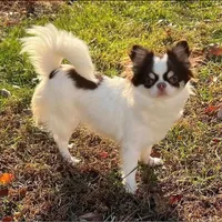 processed/0377c3ce-648a-4327-8fe8-5a9f81d219ff/facility/f8d3fda6-188a-4f93-bd31-e5460f515c44