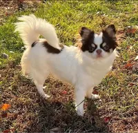 processed/0377c3ce-648a-4327-8fe8-5a9f81d219ff/facility/f8d3fda6-188a-4f93-bd31-e5460f515c44