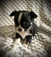 processed/0377c3ce-648a-4327-8fe8-5a9f81d219ff/listing/23127253-05ec-4b40-9d09-8043ad2a5e19/264273e4-4049-4353-8095-e2339fad4001