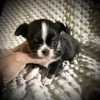 processed/0377c3ce-648a-4327-8fe8-5a9f81d219ff/listing/23127253-05ec-4b40-9d09-8043ad2a5e19/7225a50b-cc15-4e49-90ab-4bdaed0b64eb