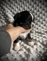 processed/0377c3ce-648a-4327-8fe8-5a9f81d219ff/listing/23127253-05ec-4b40-9d09-8043ad2a5e19/7c1e94fd-74d2-4d96-a0c3-a15082476d8b