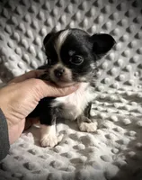 processed/0377c3ce-648a-4327-8fe8-5a9f81d219ff/listing/23127253-05ec-4b40-9d09-8043ad2a5e19/9df5cb9a-ea4c-4fd0-b259-e6c7dcbfcf2c