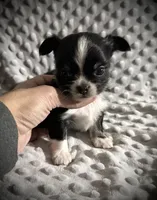 processed/0377c3ce-648a-4327-8fe8-5a9f81d219ff/listing/23127253-05ec-4b40-9d09-8043ad2a5e19/af258780-14b4-43a2-98f5-114b8c054f2d