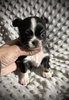 processed/0377c3ce-648a-4327-8fe8-5a9f81d219ff/listing/23127253-05ec-4b40-9d09-8043ad2a5e19/c7197c62-9935-4ebf-91c7-720eb963a5ca