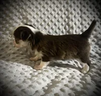 processed/0377c3ce-648a-4327-8fe8-5a9f81d219ff/listing/5d3e3970-94e2-4433-afe5-bb40d203cef5/13ac5a34-07c6-4bb3-956e-b8fa0d62f2bf