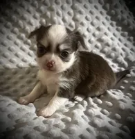 processed/0377c3ce-648a-4327-8fe8-5a9f81d219ff/listing/5d3e3970-94e2-4433-afe5-bb40d203cef5/5710f58c-73a4-45ec-a367-a289685ee8e9