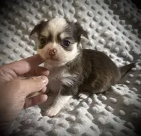 processed/0377c3ce-648a-4327-8fe8-5a9f81d219ff/listing/5d3e3970-94e2-4433-afe5-bb40d203cef5/a9968b88-19d4-4609-a935-873e3992a083