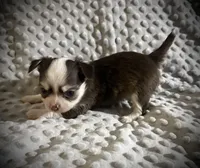 processed/0377c3ce-648a-4327-8fe8-5a9f81d219ff/listing/5d3e3970-94e2-4433-afe5-bb40d203cef5/f52e9d36-2d49-4e63-b72f-082ddfb0b3b2