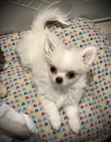 processed/0377c3ce-648a-4327-8fe8-5a9f81d219ff/listing/85fc7d6b-e859-4f52-b3ca-747400d91a7c/5f944c32-88b5-4b78-81c6-f9c26f91cc87