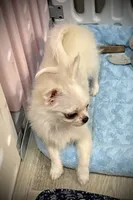 processed/0377c3ce-648a-4327-8fe8-5a9f81d219ff/listing/85fc7d6b-e859-4f52-b3ca-747400d91a7c/86fb03c3-c6d6-462e-843f-bd8ffff461db