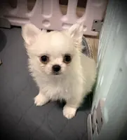 processed/0377c3ce-648a-4327-8fe8-5a9f81d219ff/listing/85fc7d6b-e859-4f52-b3ca-747400d91a7c/8ac011a9-ee40-405f-a983-90aae0caf4e1