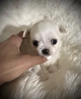 processed/0377c3ce-648a-4327-8fe8-5a9f81d219ff/listing/85fc7d6b-e859-4f52-b3ca-747400d91a7c/c5abed61-33d7-48ae-8059-fecf85fb3035