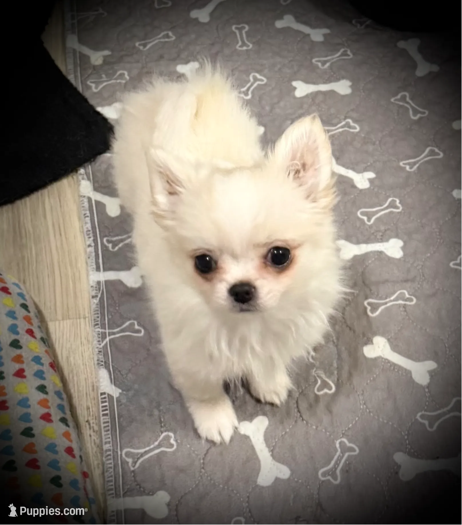 processed/0377c3ce-648a-4327-8fe8-5a9f81d219ff/listing/85fc7d6b-e859-4f52-b3ca-747400d91a7c/fa3fa13d-6425-48c9-9125-c9a49d53f403