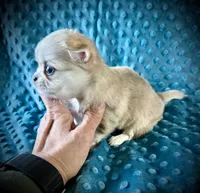 processed/0377c3ce-648a-4327-8fe8-5a9f81d219ff/listing/ac868df8-1bb8-4add-9a3b-c73f1fe997f8/7520dc34-2b6a-40fa-a757-9441a4bc0cd4