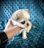 processed/0377c3ce-648a-4327-8fe8-5a9f81d219ff/listing/ac868df8-1bb8-4add-9a3b-c73f1fe997f8/a409470c-8f56-4b7e-b0fe-f09edd207a5a