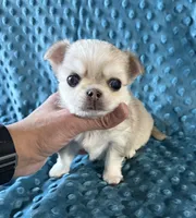 processed/0377c3ce-648a-4327-8fe8-5a9f81d219ff/listing/ac868df8-1bb8-4add-9a3b-c73f1fe997f8/d15678cc-aebe-490a-b1d9-30c4c1fa36de