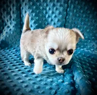 processed/0377c3ce-648a-4327-8fe8-5a9f81d219ff/listing/ac868df8-1bb8-4add-9a3b-c73f1fe997f8/ff8c709d-7c6b-4ade-9612-118a1385b90f