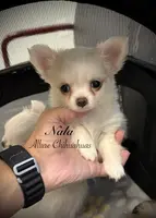 processed/0377c3ce-648a-4327-8fe8-5a9f81d219ff/listing/be89e62c-7156-4a65-8ad5-bb4dffe6c4d8/115f24ae-1304-4ac8-9213-4004a5fc6c22