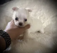 processed/0377c3ce-648a-4327-8fe8-5a9f81d219ff/listing/be89e62c-7156-4a65-8ad5-bb4dffe6c4d8/1ef814e3-2349-4e84-97ff-ccf43454694c