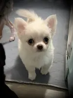 processed/0377c3ce-648a-4327-8fe8-5a9f81d219ff/listing/be89e62c-7156-4a65-8ad5-bb4dffe6c4d8/61815dd2-6147-4207-9fb4-5ce3b0d2b99d