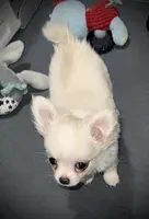 processed/0377c3ce-648a-4327-8fe8-5a9f81d219ff/listing/be89e62c-7156-4a65-8ad5-bb4dffe6c4d8/686851b5-ea49-4b12-ad59-4f041ab0d93d