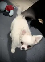 processed/0377c3ce-648a-4327-8fe8-5a9f81d219ff/listing/be89e62c-7156-4a65-8ad5-bb4dffe6c4d8/8dcebfe7-48b4-4a41-91a2-19637f9280e4