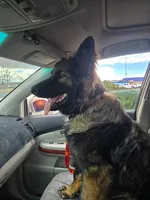 processed/037a60aa-942c-4a34-a541-b6fe576f1836/facility/03df6520-4fa1-42a6-b52b-8eeb700d91d5