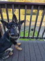 processed/037a60aa-942c-4a34-a541-b6fe576f1836/facility/05d2eb65-c68e-4f85-aa31-bbfa109ac70c