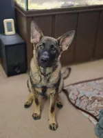 processed/037a60aa-942c-4a34-a541-b6fe576f1836/facility/d159bf00-2124-4426-8947-cee48d03cb4e