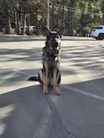 processed/037a60aa-942c-4a34-a541-b6fe576f1836/facility/f509ed9b-19d5-4142-a82e-07a77ee983da