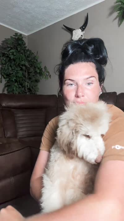 Brandy, a female Bernedoodle for sale in Youngstown, FL – 3 of 3