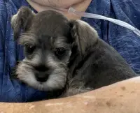 processed/038aa32d-c22b-433a-8413-bf8c5b84719a/listing/3ef7f129-9204-4f14-aee3-2b6ed4b8f495/26120d1e-bf70-4edb-96aa-e593f5c85daa