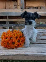 processed/038aa32d-c22b-433a-8413-bf8c5b84719a/listing/bfac802b-412e-44a0-835a-f1ff57246c40/3fb7905d-74ca-4686-8932-504f051dbd05