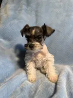 processed/038aa32d-c22b-433a-8413-bf8c5b84719a/listing/bfac802b-412e-44a0-835a-f1ff57246c40/75f84cbf-b335-4a0f-a815-60e3216b9b75