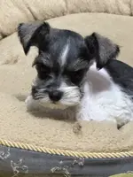 processed/038aa32d-c22b-433a-8413-bf8c5b84719a/listing/bfac802b-412e-44a0-835a-f1ff57246c40/81d97de0-34d5-450c-8fcc-ceee6489b5fe