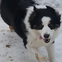 processed/038f00a1-dbf4-4352-9dc3-3a4ed83f1c82/facility/1dcfbf35-3843-4f24-8a1f-1abef6f10bac