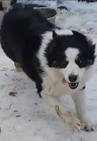 processed/038f00a1-dbf4-4352-9dc3-3a4ed83f1c82/facility/1dcfbf35-3843-4f24-8a1f-1abef6f10bac