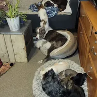 processed/038f00a1-dbf4-4352-9dc3-3a4ed83f1c82/facility/280f56b9-c0b2-42a6-ad76-e14d9a4a8ce9