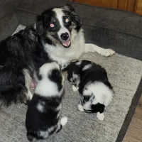 processed/038f00a1-dbf4-4352-9dc3-3a4ed83f1c82/facility/44ff8619-dcf4-4699-9124-a3cf569bdb4e