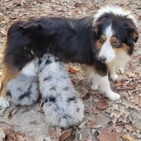 processed/038f00a1-dbf4-4352-9dc3-3a4ed83f1c82/facility/459e5fb5-e095-4b21-9684-5c1d667f5332