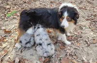 processed/038f00a1-dbf4-4352-9dc3-3a4ed83f1c82/facility/459e5fb5-e095-4b21-9684-5c1d667f5332