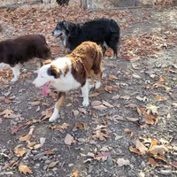 processed/038f00a1-dbf4-4352-9dc3-3a4ed83f1c82/facility/56b84f0e-bf68-4aa5-bd4a-152b2887afbe