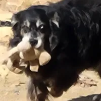 processed/038f00a1-dbf4-4352-9dc3-3a4ed83f1c82/facility/62205acc-3c28-4926-a628-525dcfb539dd