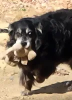 processed/038f00a1-dbf4-4352-9dc3-3a4ed83f1c82/facility/62205acc-3c28-4926-a628-525dcfb539dd