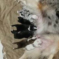 processed/038f00a1-dbf4-4352-9dc3-3a4ed83f1c82/facility/bb033ab0-b0dc-4132-952f-8d54628d0910