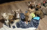 processed/038f00a1-dbf4-4352-9dc3-3a4ed83f1c82/facility/f11cdbb4-3947-419d-96ef-b4e65871e6c7