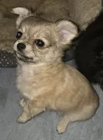 processed/038f00a1-dbf4-4352-9dc3-3a4ed83f1c82/listing/204828d8-9cf3-40c5-952f-fdb27fe209f5/1c523951-f029-4d27-b324-1feb9a4fa2f4