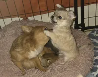 processed/038f00a1-dbf4-4352-9dc3-3a4ed83f1c82/listing/204828d8-9cf3-40c5-952f-fdb27fe209f5/6b43ebcd-d83e-4c24-a767-1fded1a47f3b