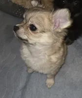 processed/038f00a1-dbf4-4352-9dc3-3a4ed83f1c82/listing/204828d8-9cf3-40c5-952f-fdb27fe209f5/d1312c8b-535f-4c2f-85e9-cb0e5cc28eed